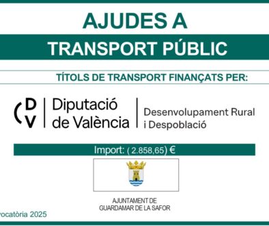 CARTELES A4 TRANSPORTE PÚBLICO A DEMANDA 2025 BONOS_page-0001