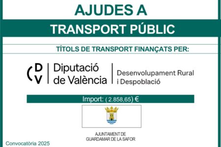 CARTELES A4 TRANSPORTE PÚBLICO A DEMANDA 2025 BONOS_page-0001